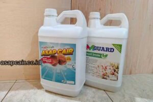 Daftar Harga Asap Cair Rokan Hulu