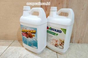 Daftar Harga Asap Cair Tolitoli