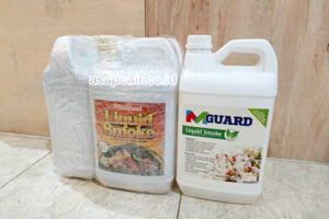 Harga Terbaru Asap Cair Kota Palopo