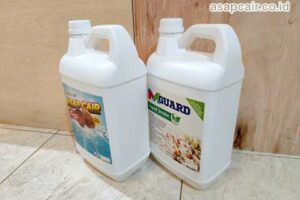 Daftar Harga Terbaru Asap Cair Morowali