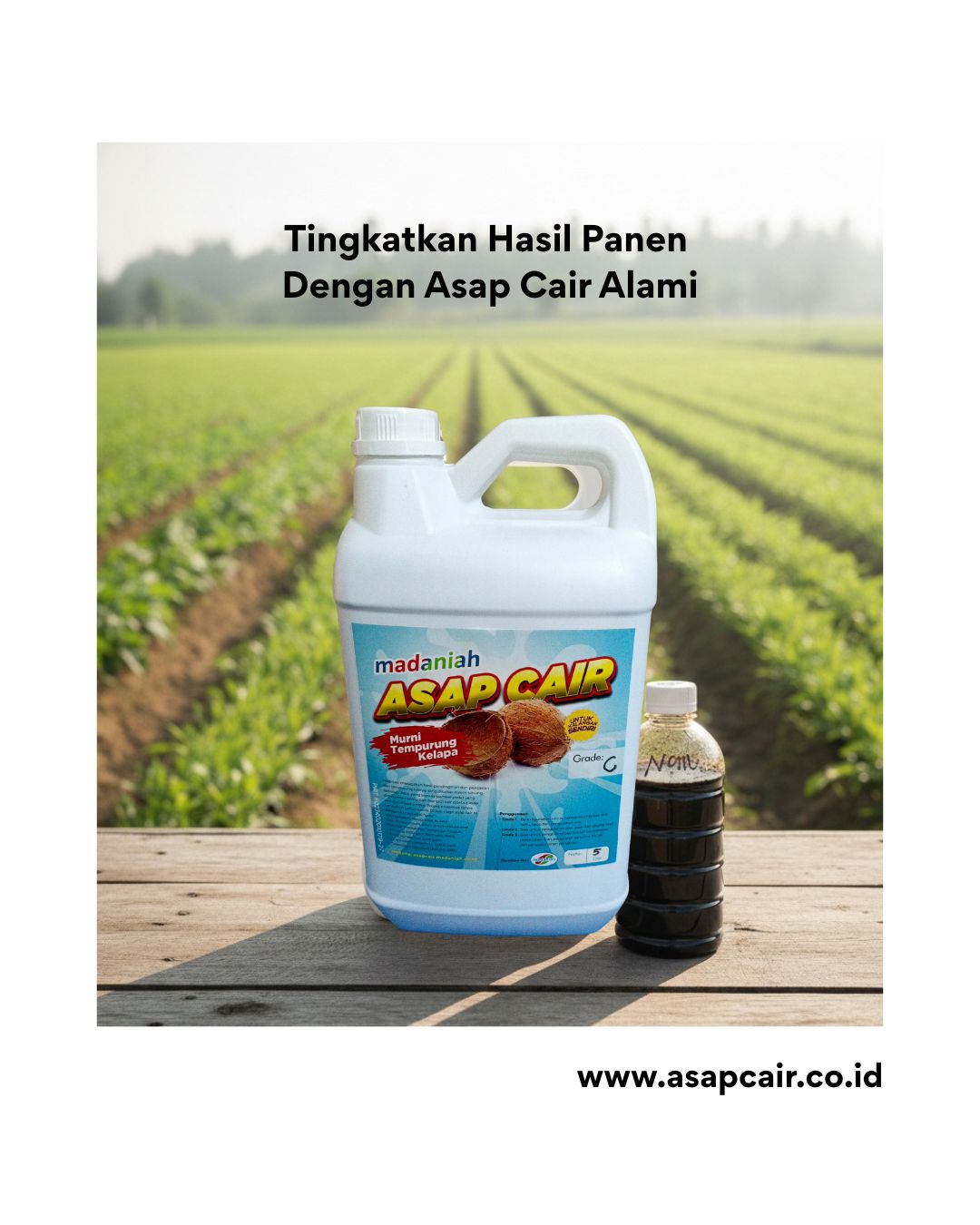 Asap Cair Untuk Tanaman