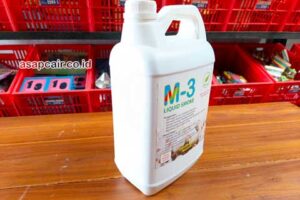 Jual Cuka Kayu Banda Aceh Berkualitas