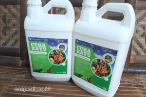 Jual Cuka Kayu Empat Lawang Murah