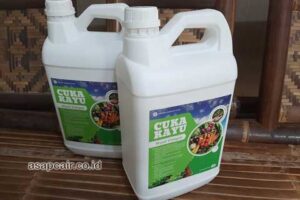 Jual Cuka Kayu Kepulauan Meranti Murah