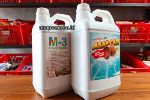 Jual Cuka Kayu Ketapang Harga Terjangkau