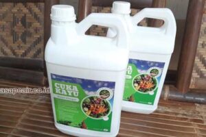 Jual Cuka Kayu Kota Batam Berkualitas