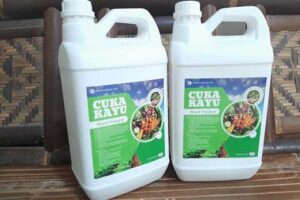 Jual Cuka Kayu Kota Baubau Murah