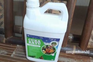 Jual Cuka Kayu Kota Makasar Berkualitas