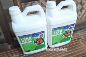 Jual Cuka Kayu Kota Manado Berkualitas