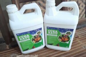 Jual Cuka Kayu Kota Sungai Penuh