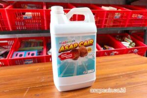 Jual Cuka Kayu Lamandau Harga Terjangkau