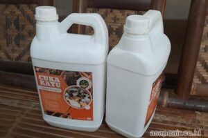 Jual Cuka Kayu Majene Harga Terjangkau