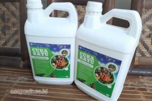 Jual Cuka Kayu Muara Enim Berkualitas