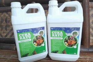 Jual Cuka Kayu Rokan Hulu Berkualitas