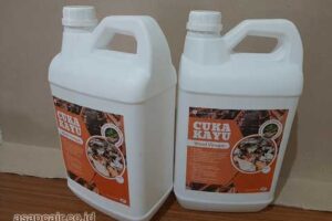 Jual Cuka Kayu Siak Harga Terjangkau