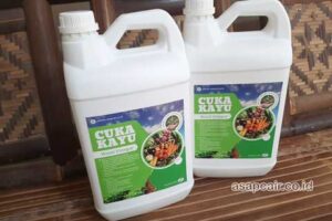 Jual Cuka Kayu Sigi Harga Terjangkau