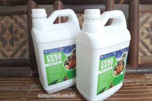 Jual Cuka Kayu Tebo Harga Terjangkau