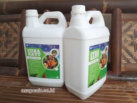 Jual Cuka Kayu Wakatobi Murah