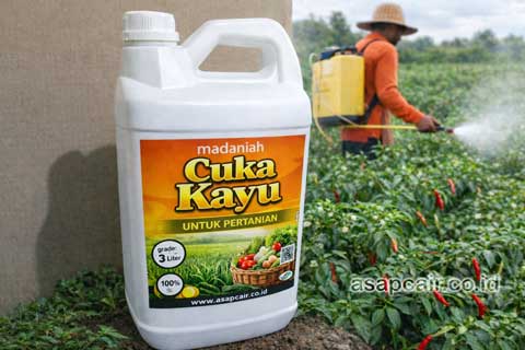 Manfaat Cuka Kayu Untuk Tanaman