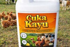 Manfaat Cuka Kayu untuk Peternakan