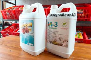 Produsen Cuka Kayu Ambon Harga Terjangkau