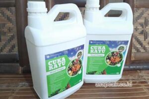 Produsen Cuka Kayu Banggai Kepulauan