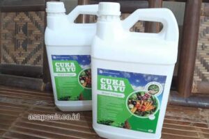 Produsen Cuka Kayu Batu Bara Berkualitas