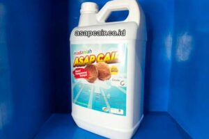 Produsen Cuka Kayu Berkualitas Aceh Utara