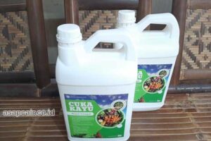 Produsen Cuka Kayu Bintan Berkualitas