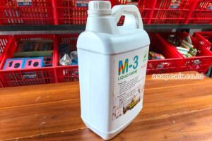 Produsen Cuka Kayu Bireuen Harga Terjangkau