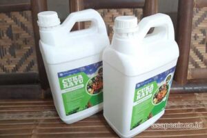 Produsen Cuka Kayu Bungo Harga Terjangkau