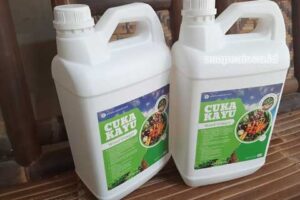 Produsen Cuka Kayu Indragiri Hulu Murah