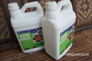 Produsen Cuka Kayu Kampar Harga Terjangkau