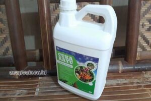 Produsen Cuka Kayu Kepulauan Sangihe Murah