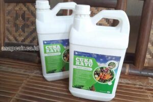 Produsen Cuka Kayu Kota Jambi Murah