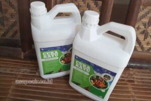 Produsen Cuka Kayu Kota Kendari Murah