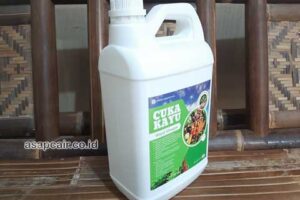 Produsen Cuka Kayu Kota Kotamobagu