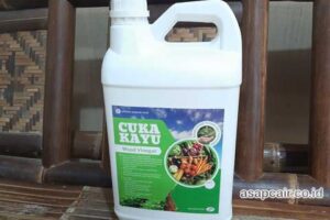 Produsen Cuka Kayu Kota Palopo