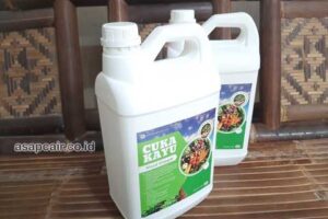 Produsen Cuka Kayu Kota Tanjungpinang Murah