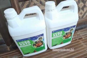 Produsen Cuka Kayu Kota Tomohon Murah