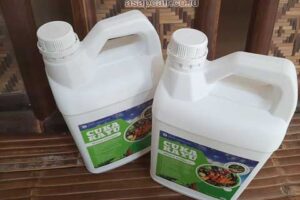 Produsen Cuka Kayu Kuantan Singingi Berkualitas