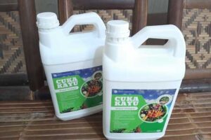 Produsen Cuka Kayu Lahat Murah