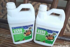 Produsen Cuka Kayu Mamasa Berkualitas