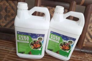 Produsen Cuka Kayu Mamuju Berkualitas