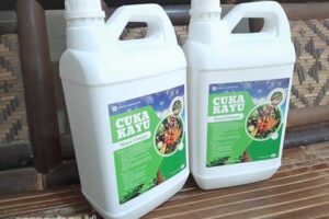 Produsen Cuka Kayu Morowali Utara Murah