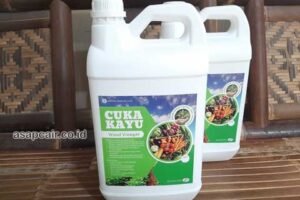 Produsen Cuka Kayu Natuna Harga Terjangkau