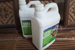 Produsen Cuka Kayu Pelalawan Harga Terjangkau