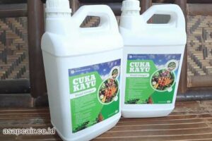 Produsen Cuka Kayu Poso Berkualitas