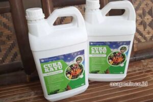 Produsen Cuka Kayu Rokan Hilir Murah