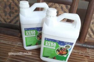 Produsen Cuka Kayu Tanjung Jabung Timur